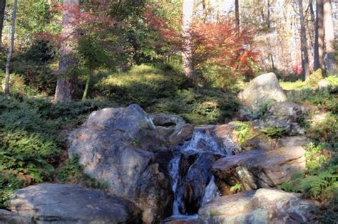 Garvan Woodland Gardens Hot Springs 2021 All You Need To Know