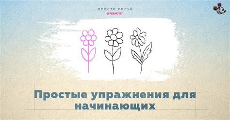 Я хочу рисовать: простые упражнения для начинающих — Teletype