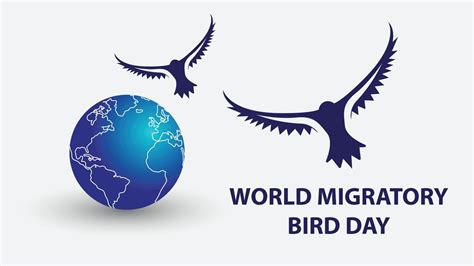 World Migratory Bird Day Vector Illustration Vector Art At