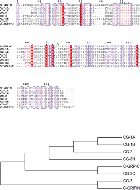 Alignment Of The Amino Acid Sequence Section That Covers The Signature