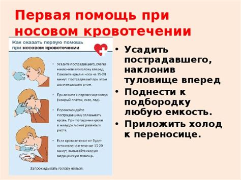 Урок 26. Первая помощь при кровотечениях