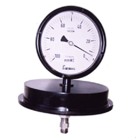 6 Inch 150 Mm Low Pressure Capsule Gauges At Best Price In Mumbai