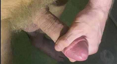 Horny Thick Dick Of Mine Made In Russia Set Pics XHamster