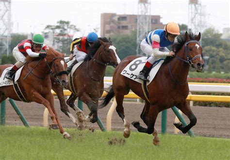 ＜東京5r新馬戦＞レースを制したワーケア（右）（撮影・郡司 修） ― スポニチ Sponichi Annex ギャンブル