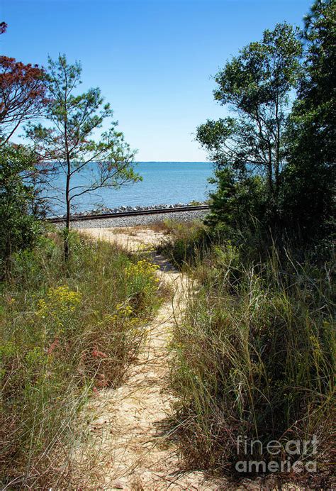 Trail at Bay Bluffs Photograph by Jennifer Shade - Fine Art America