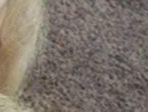 NANDA VAN BERGEN Nude AZNude