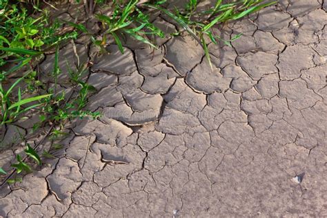 Lack of water stock photo. Image of aridity, water, desert - 256128384