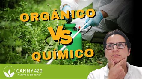 Fertilización Orgánica Vs Química Youtube