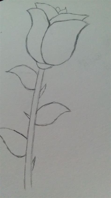 Desenhos Para Fazer Na Escola - 9