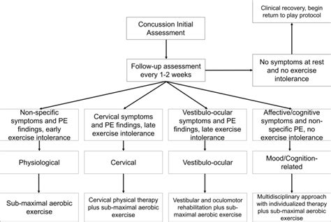 Assessment And Treatment Algorithm For Concussion Clinical Profiles