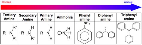 Amines - Chubby Revision A2 Level