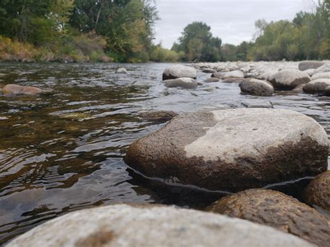 A local report explaining where to find every Ross in boise 14