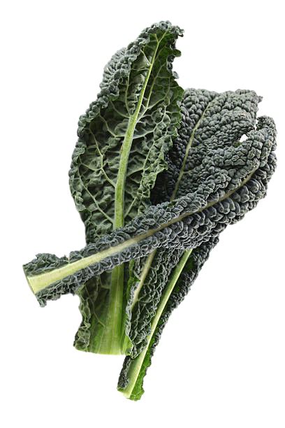 Agroz Dino Kale Sold Per Kg B2B HORECA Suppliers Supplybunny