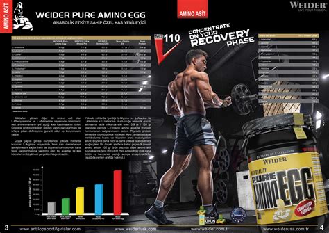 Weider Pure Amino Egg Katalog