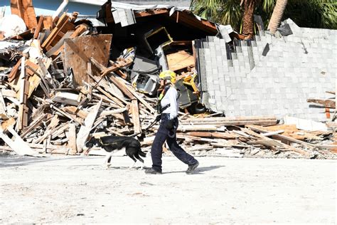 Dvids Images Fema Urban Search And Rescue Teams Use Canine Teams To