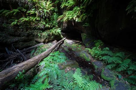 Grand Canyon Track Blue Mountains Nsw We Are Explorers