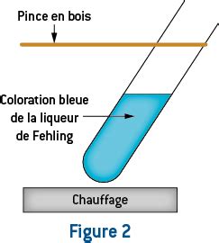 La Structure Des Mol Cules D Int R T Biologique Digischool