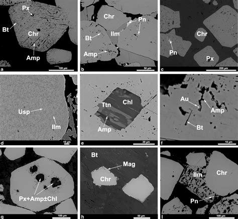 BSE Images Of Chromite From The Kevitsa Chromitite Stringer