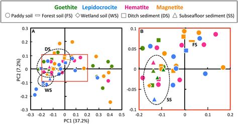 Frontiers Isolation Of Microorganisms Involved In Reduction Of