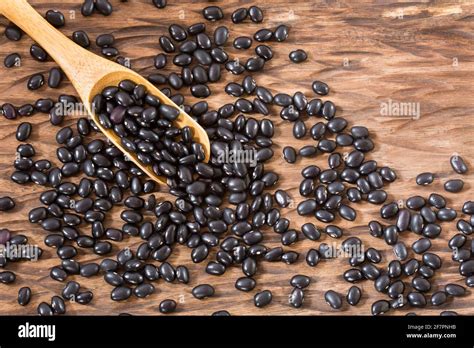 Raw Black Beans Top View Phaseolus Vulgaris Black Turtle Stock