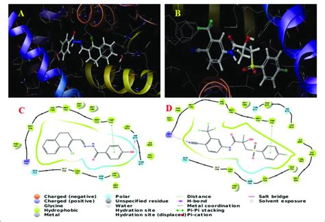 Predicted Binding Mode Of Compound J A C And Standard Bicalutamide