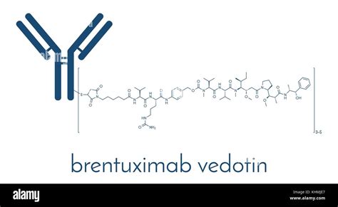 Brentuximab Vedotin Antibody Drug Conjugate Molecule Consists Of