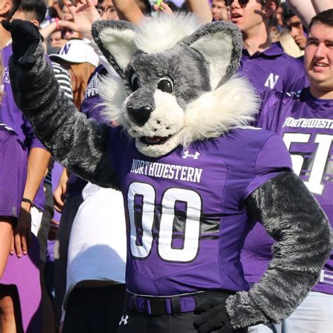 Northwestern University Mascot Name