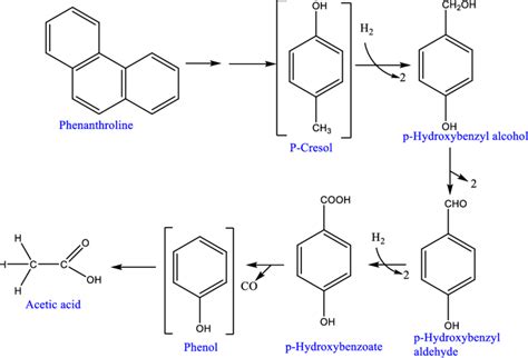 Biotransformation Route Of Phenanthrene Using Anaerobic And