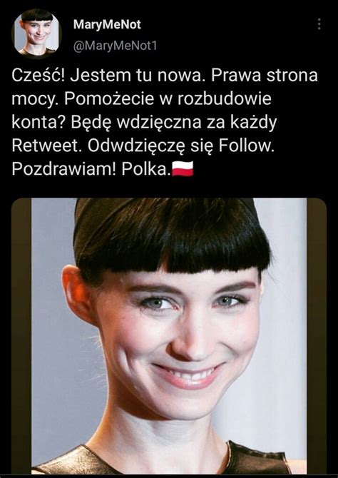 Kot Behemot on Twitter Ban Szkoda czasu PS Ja nie znam się tych