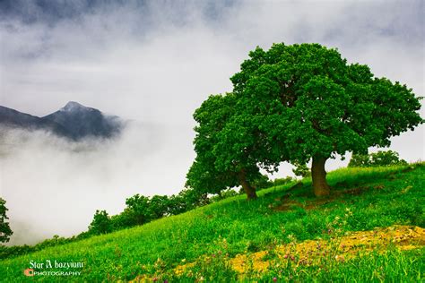 Kurdistan Wallpapers - Top Free Kurdistan Backgrounds - WallpaperAccess