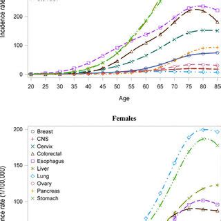 Estimated Age Specific Incidence Rates For Major Cancers In China 2005