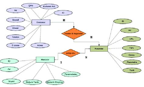 Database Design Er Diagram