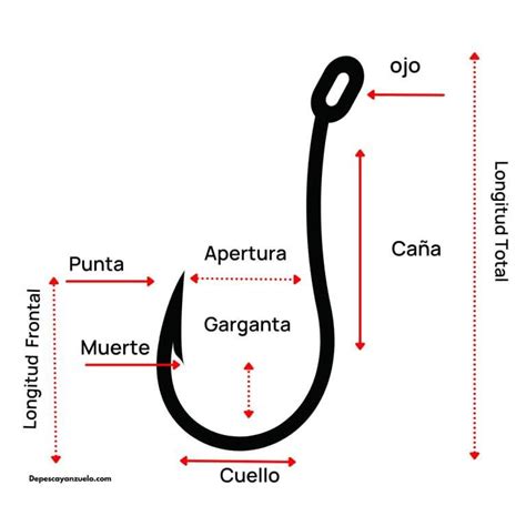 Gu A Definitiva Los Anzuelos De Pesca De Pesca Anzuelo En