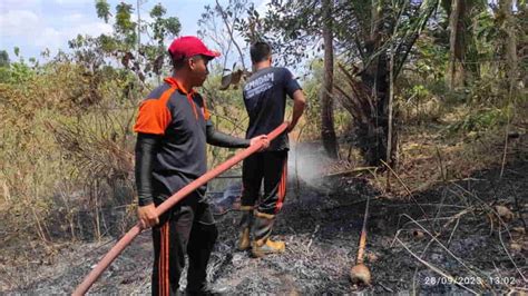 Hari Ini Damkar Tangani Dua Kebakaran Lahan Di Kota Banjar