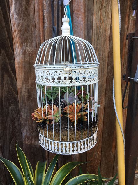 Succulent Bird Cage Plant Hanger Macrame Plant Macrame Plant Hanger