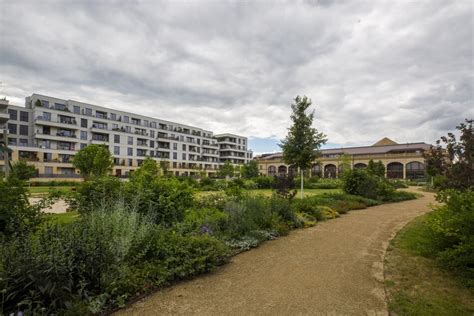 Schwere Vergewaltigung in Dresden 22 Jähriger soll Frau zu Sex gezwungen haben