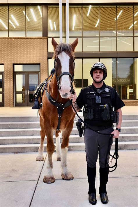 Cobb County Sheriffs Office Cobb County Sheriffs Office Hosted End