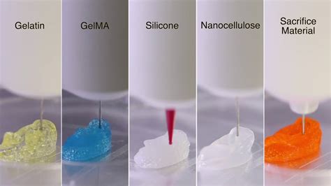 D Bioprinting Of Different Bioinks Using Biomaker Youtube