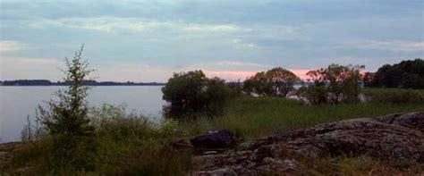 Fiske i Roxen