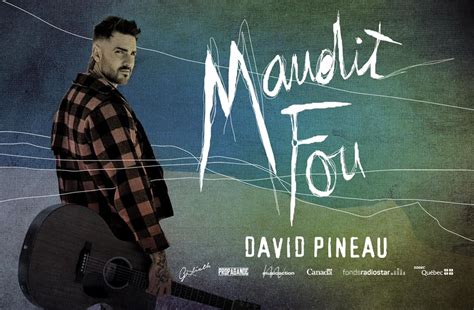 Chronique 100 québécois David Pineau