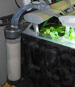 Aquarium Filtration Filter Types Advantages Disadvantages