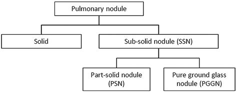 Lung Nodule Size Chart - Greenbushfarm.com