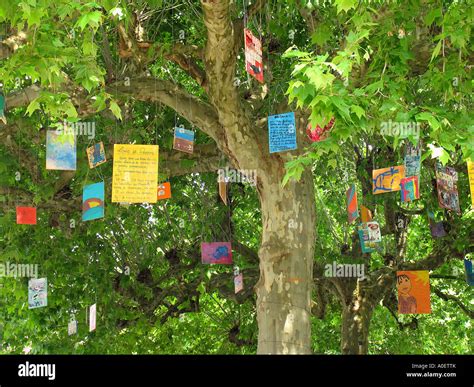 Decorated Tree Sarlat Market France Stock Photo Alamy