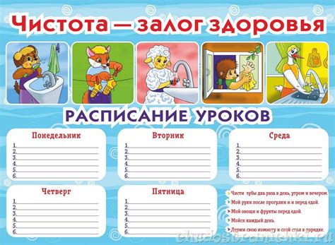 Плакат на тему чистота залог здоровья (49 фото)