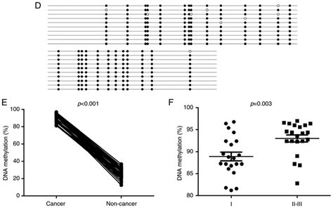 Continued Mir Gene Is Hyper Methylated In Ec The Ec Ish And Kle