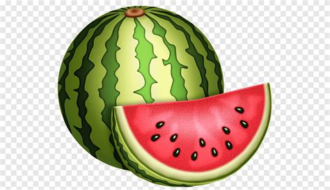 Watermelon Fruit Drawing Cartoon Watermelon Food Melon Png Pngegg