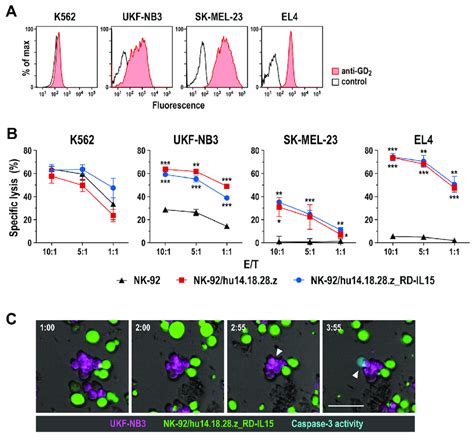 Targeted Cytotoxicity Of Car Nk Cells Against Gd2 Positive Tumor Cells