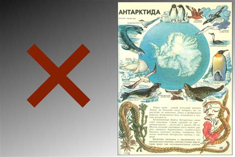 Мир и человек vs мир вокруг нас. Часть 3 | Пикабу