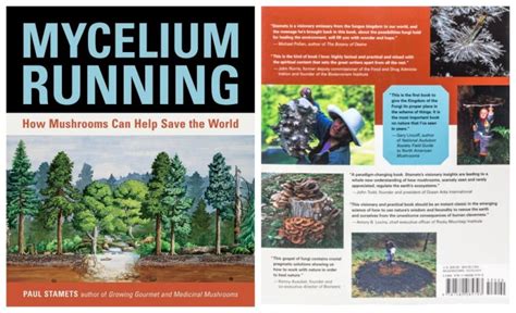 A Guide to the Top 10 Best Mushroom Growing Books | GroCycle