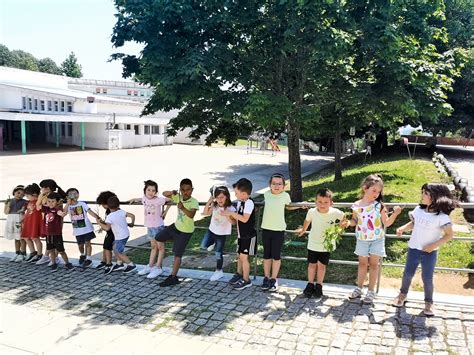 A Natureza é a melhor sala de aula EcoEscolas